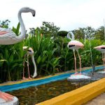 Langkawi Wildlife Park & Bird Paradise